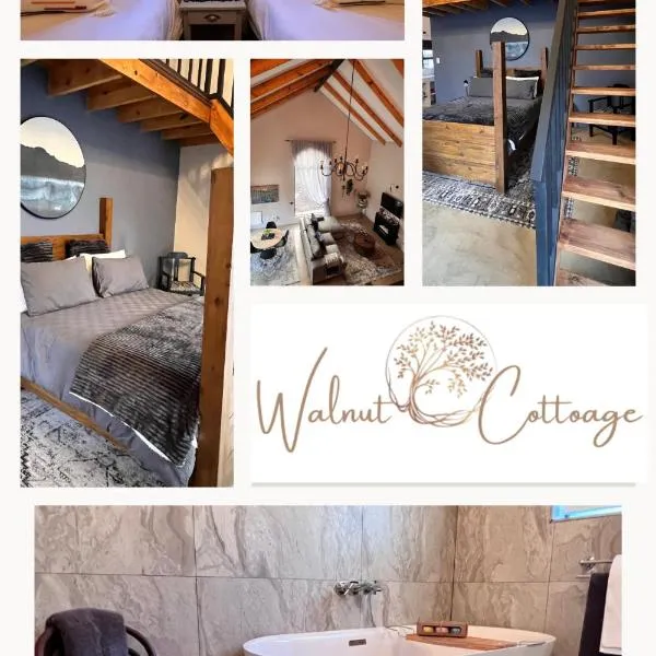 Walnut Cottage，位于克拉伦斯的酒店