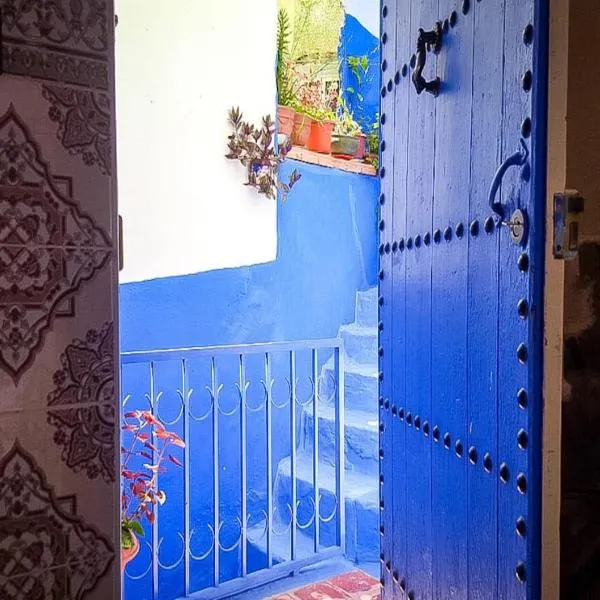 Dar Ennadi Terrace & Tranquility，位于舍夫沙万的酒店