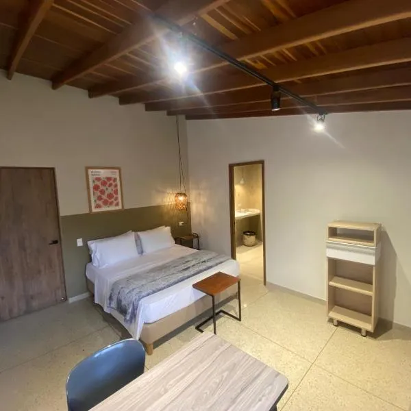 Hotel La Vega，位于Concepción的酒店