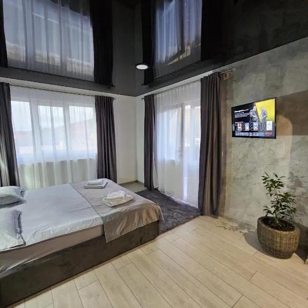 Vila Noris，位于雅西的酒店