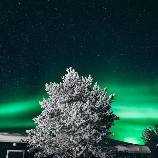 Forest Ranger's House, Authentic Lappish atmosphere，位于阿卡斯洛姆波罗的酒店