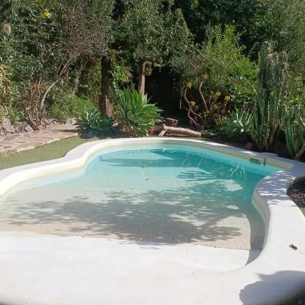 Los Matos, Canarian house in Valleseco，位于Valleseco的酒店