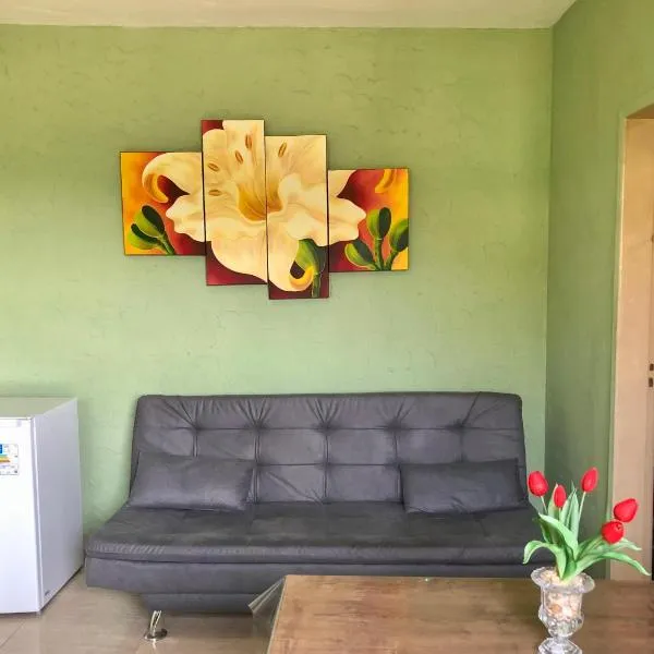 CASA EM BH Santa Efigênia，位于贝洛奥里藏特的酒店