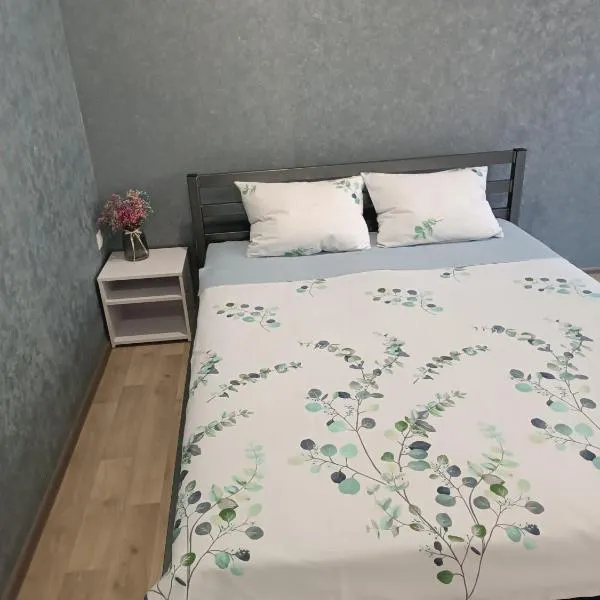 Две уютные квартиры в центре города Дзержинка - New apartments，位于克里沃罗格的酒店