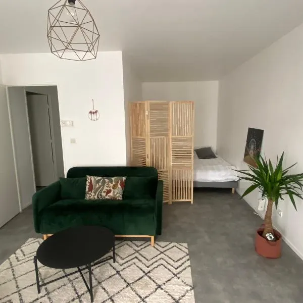 Nancy Autre Canal Chez Hélo，位于南希的酒店