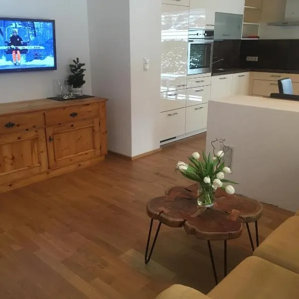 Haus Salner，位于绍滕斯的酒店