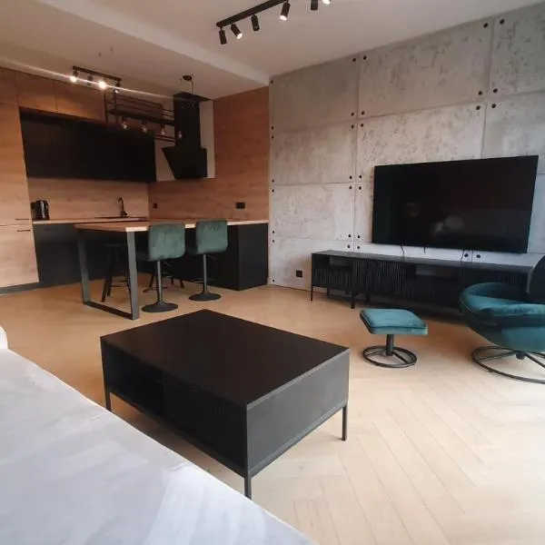 Apartament LOFT，位于普鲁什库夫的酒店