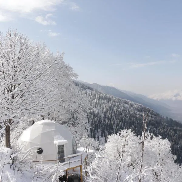 GlampEco Manali，位于马拉里的酒店