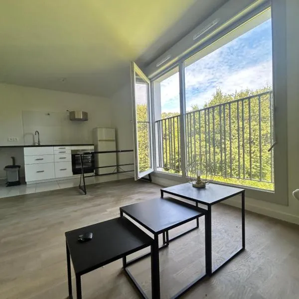 Studio équipé, gare à 3km entre Versailles et SQY，位于基扬古尔的酒店