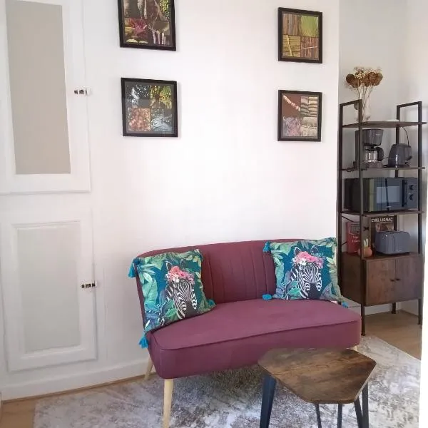 Appartement au cœur du patrimoine sézannais，位于塞扎讷的酒店