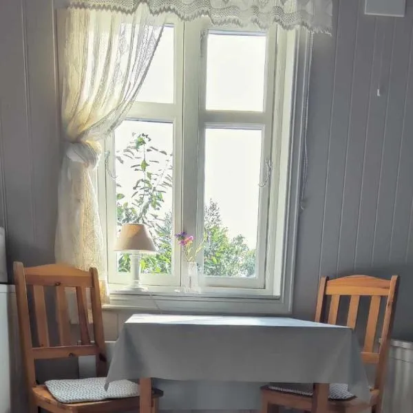 Øya husrom-enkeltsenger-kjøkken-bad，位于萨普斯堡的酒店