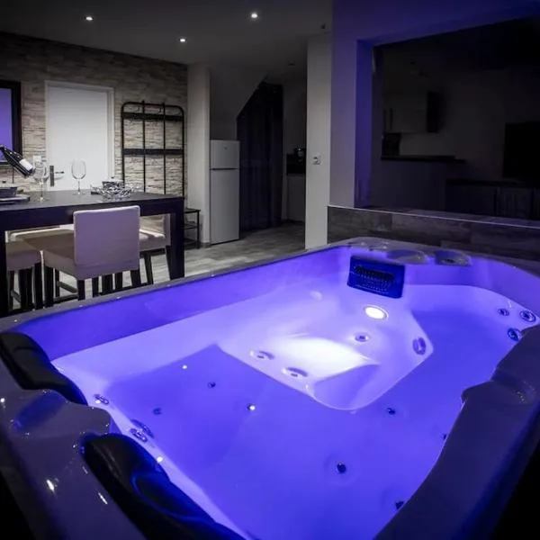 VIP 2 Loft avec spa privatif à 10 min de Dijon，位于Fauverney的酒店