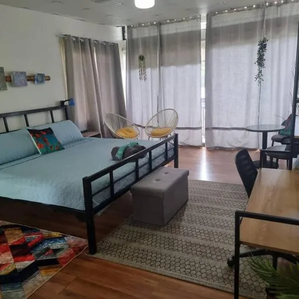 Cool Loft with King Bed 10 mins David 20 mins to Boquete，位于Dolega的酒店