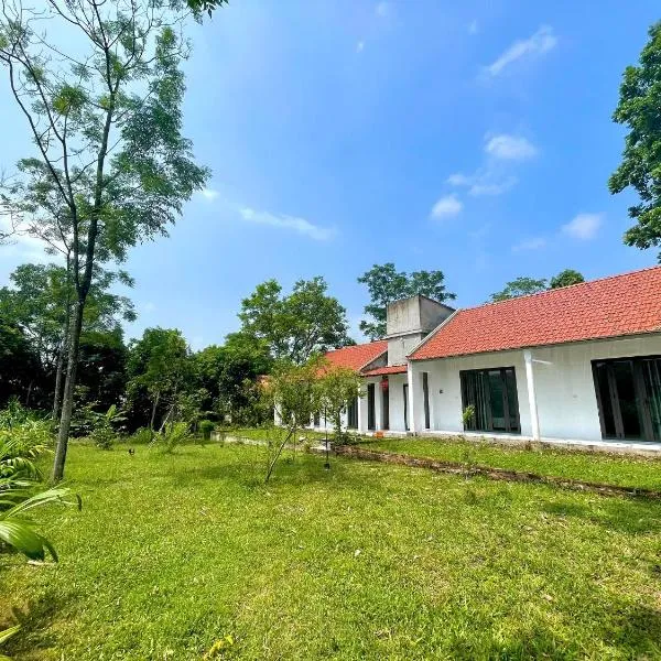 The Garden Homestay，位于Phủ Lý的酒店