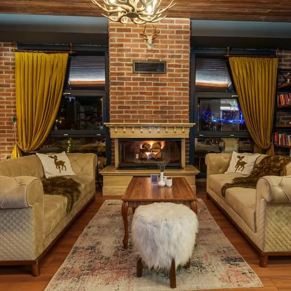 Library Hotel Erciyes，位于开塞利的酒店