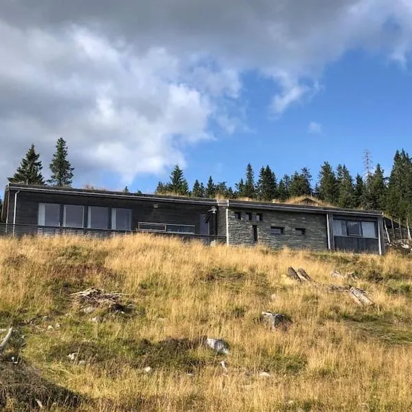 Moderne hytte Sjusjøen，位于斯朱森的酒店