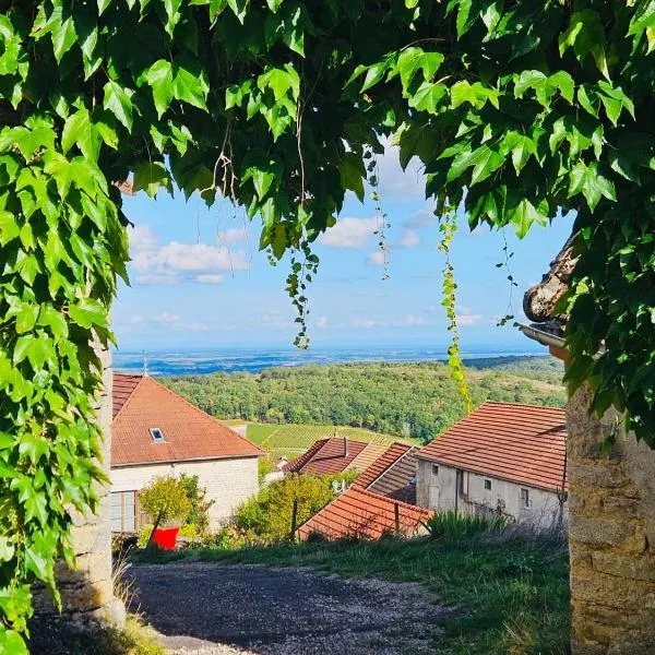 Maison unique avec vue sur les vignes，位于Baubigny的酒店