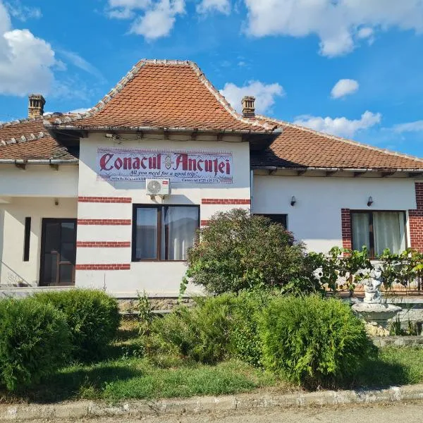 Conacul Ancuței，位于Hălmagiu的酒店