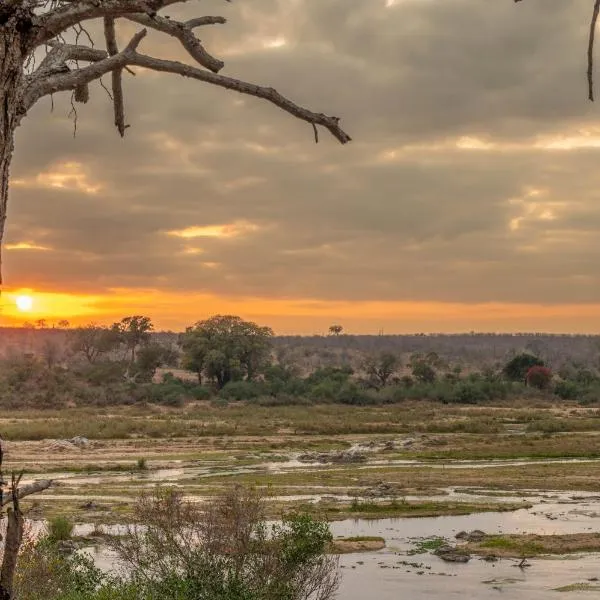 Foxy Crocodile Bush Lodge & Kruger Safari's - No Loadshedding，位于玛洛斯帕克的酒店