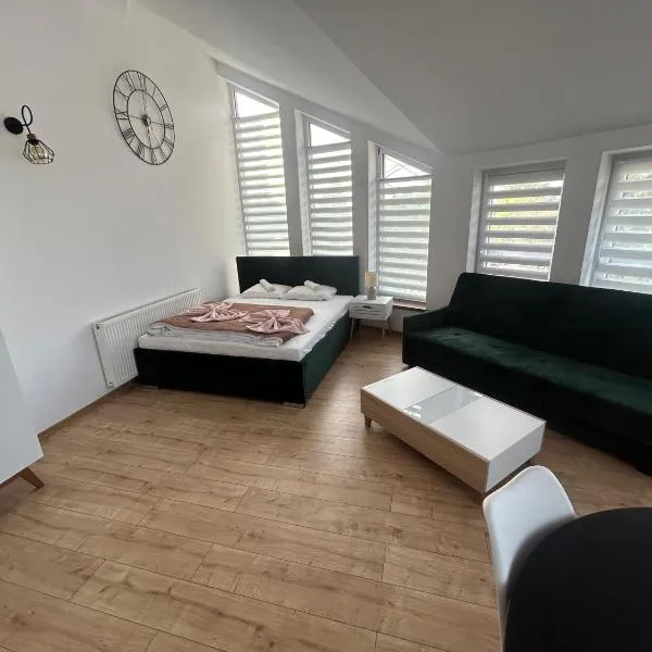 Apartamenty Aleja Ducha świętego Apartament 5，位于Mielec的酒店