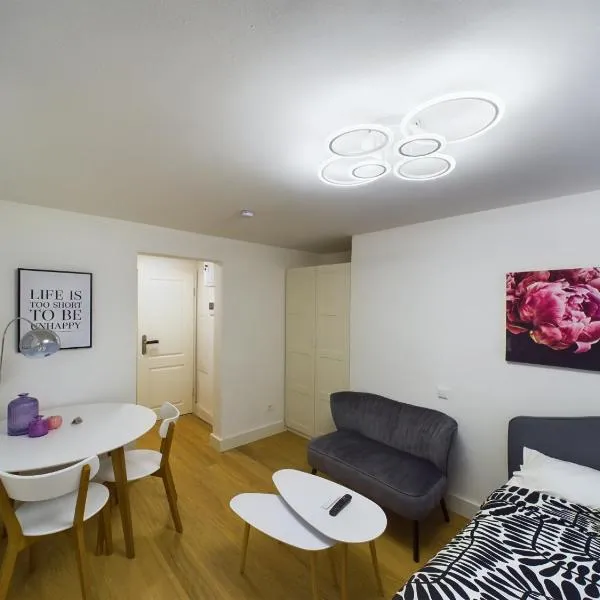 Sani Suite，位于巴克南的酒店
