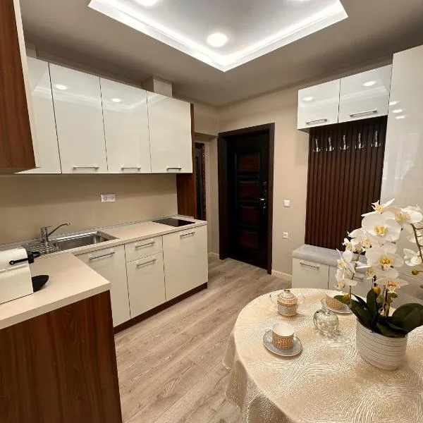 Luxury Apartments 1，位于索非亚的酒店