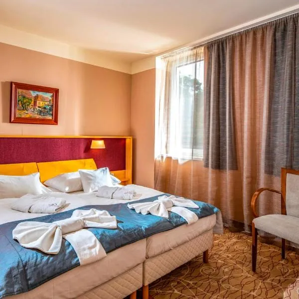 Dráva Hotel Thermal Resort，位于哈卡尼的酒店