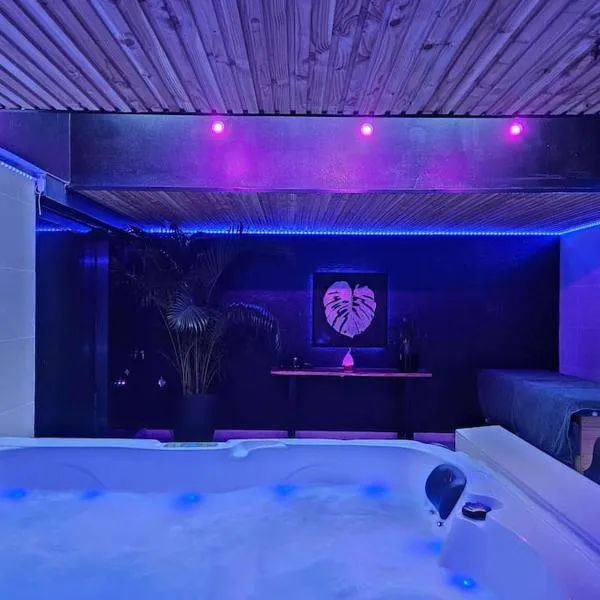 Appart design Jacuzzi Sauna, Salle de sports，位于Emmerin的酒店