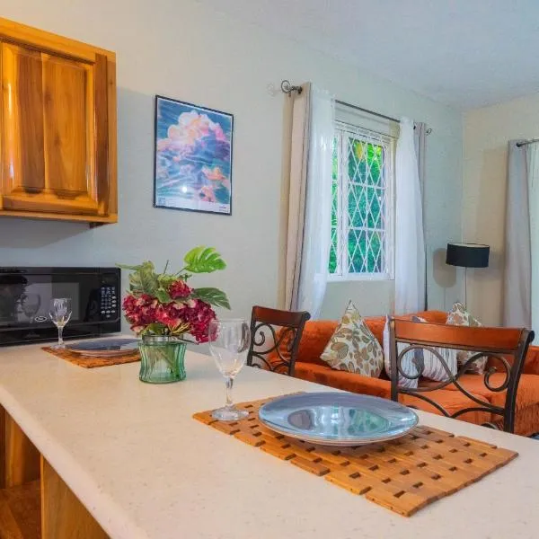 Musgrave AnneX- comfy 1 bedroom apartment on the ground floor，位于金斯敦的酒店