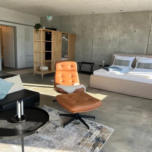 Panorama Loft Feldkirch，位于Klaus的酒店