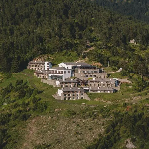 Grand Forest Metsovo - Small Luxury Hotels of the World，位于美特索文的酒店