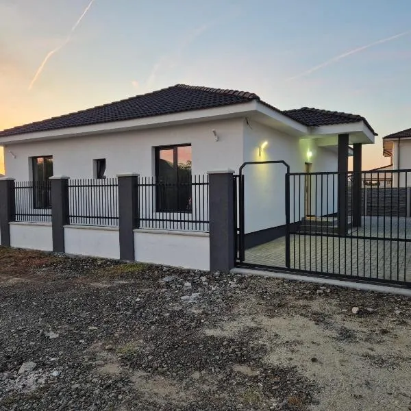 Adelina House，位于Remetea Mare的酒店