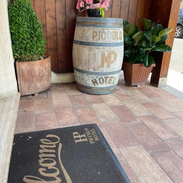 Piccolo Hotel，位于罗西尼亚诺－索尔瓦伊的酒店