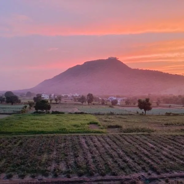 Hotel Divine Palace Pushkar，位于布什格尔的酒店