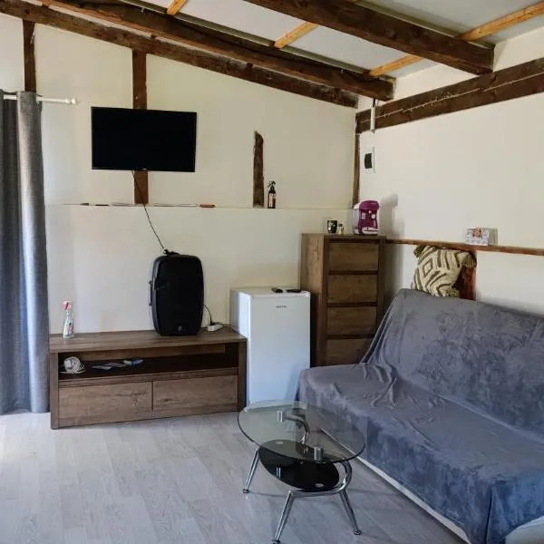 Glamping Vlad，位于阿尤德的酒店