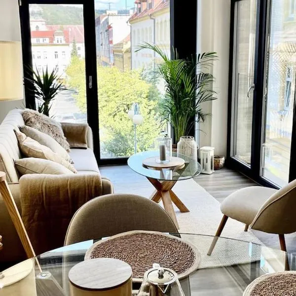 Apartmán Masaryk Square，位于德辛的酒店