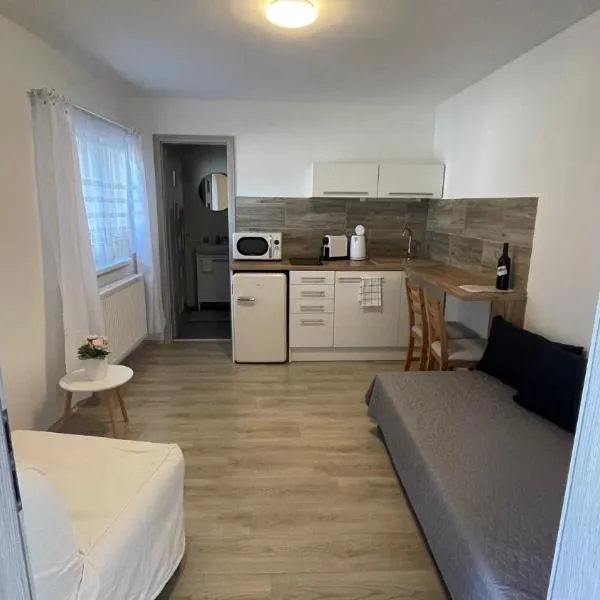 Dům nad Jezerem - apartmán III，位于莫斯特的酒店