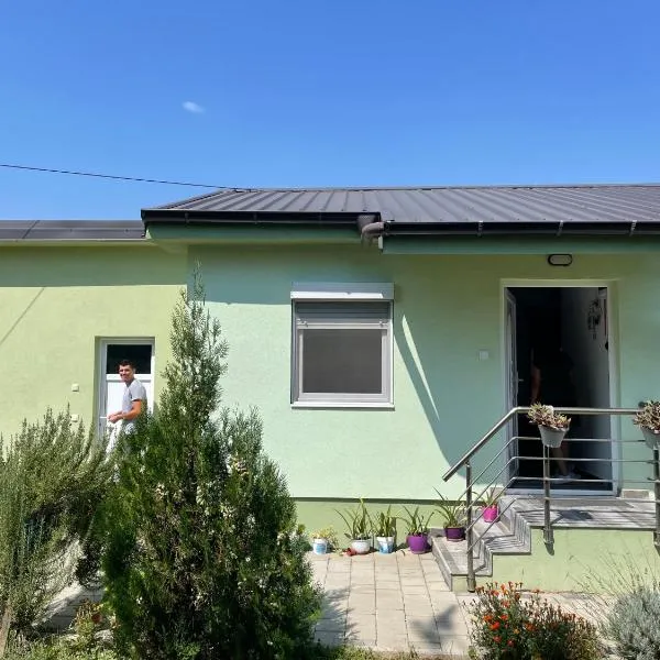 The Little Green House，位于Petrovec的酒店