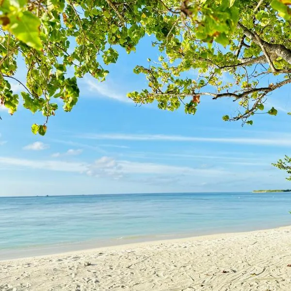 YUVi Blue Maldives & spa，位于心玛芙市的酒店