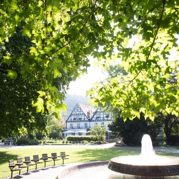 Bad Hotel Bad Überkingen，位于巴德乌贝肯的酒店