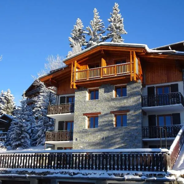 Appartement dans un chalet typique de montagne à La Rosière，位于瓦勒迪泽尔的酒店