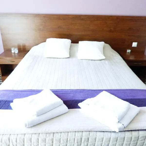 Hotel-Aramis，位于斯卡日斯科-卡缅纳的酒店