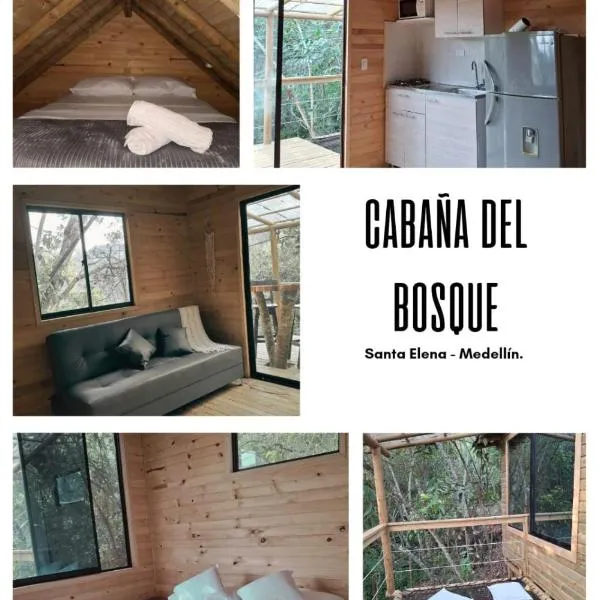 Cabaña Del bosque，位于马里尼亚的酒店