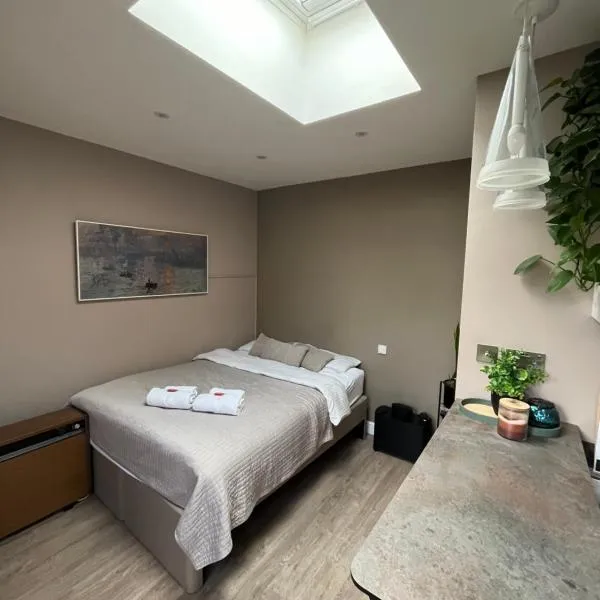 Modern Garden Studio for comfy stay，位于邓斯特布尔的酒店