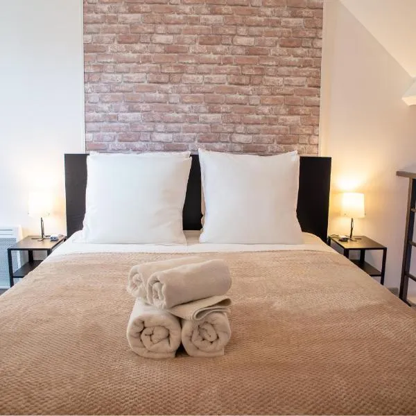 Le Loft proche aéroport CDG I Paris I Astérix，位于达马尔坦昂戈埃勒的酒店