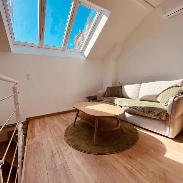 appartement terrasse Roof Top climatisé，位于盖亚克的酒店