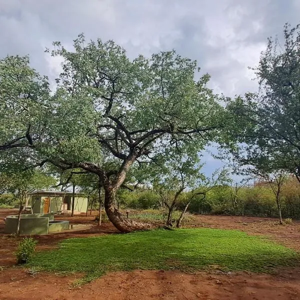 ZuriCamp - Campsite Safiri，位于楚梅布的酒店