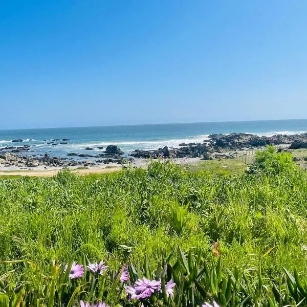 frente al mar tiny house，位于Guaquen的酒店