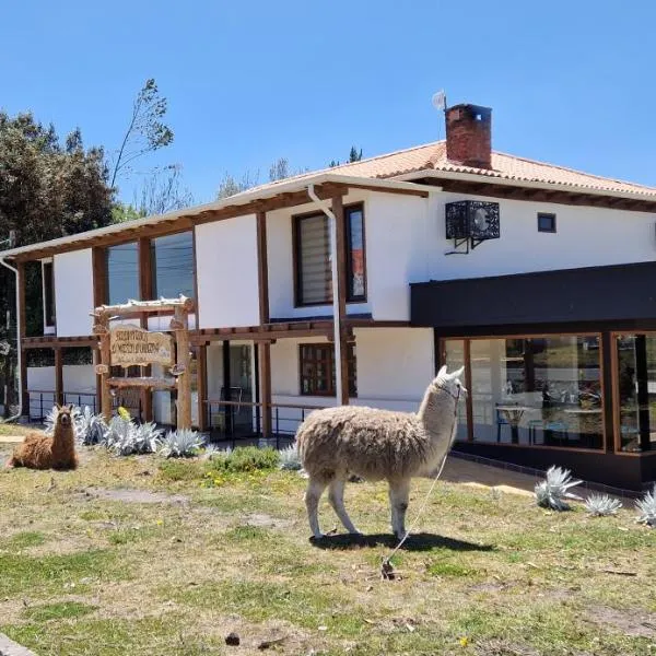 La Maison d'Urbina，位于Chimborazo的酒店