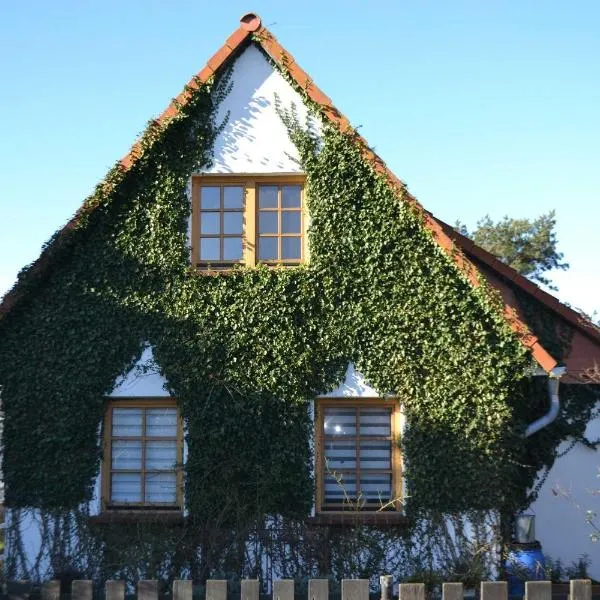 Ferienhaus "Butje"，位于维特的酒店